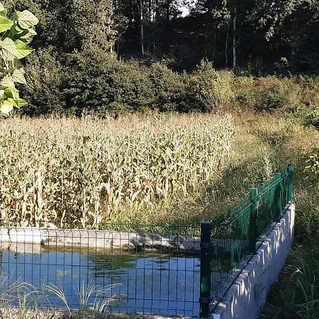 As Casinhas Dos Meus Avós By Quinta Do Paço 4*