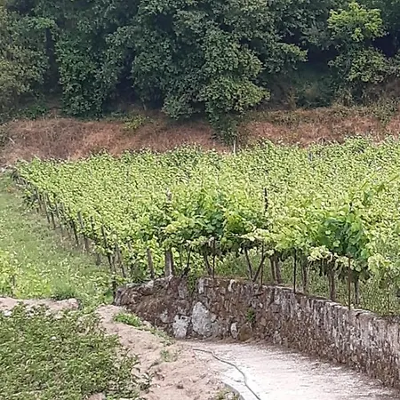 As Casinhas Dos Meus Avós By Quinta Do Paço Pensión *