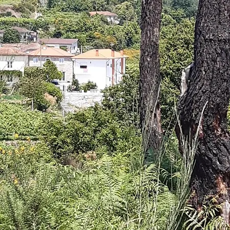 As Casinhas Dos Meus Avos By Quinta Do Paco Guest house *