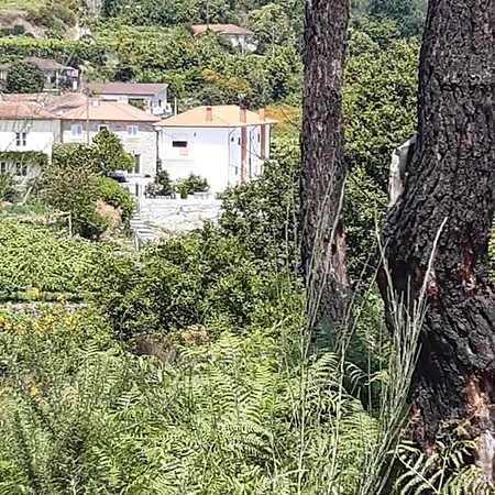 As Casinhas Dos Meus Avós By Quinta Do Paço Pensión 4*