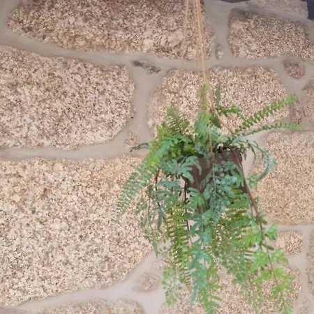 Pensión As Casinhas Dos Meus Avós By Quinta Do Paço Amarante