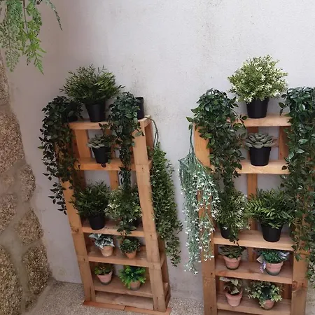 As Casinhas Dos Meus Avos By Quinta Do Paco