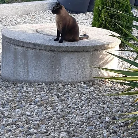 As Casinhas Dos Meus Avós By Quinta Do Paço Pensión Amarante