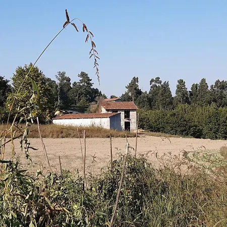 As Casinhas Dos Meus Avós By Quinta Do Paço 4*