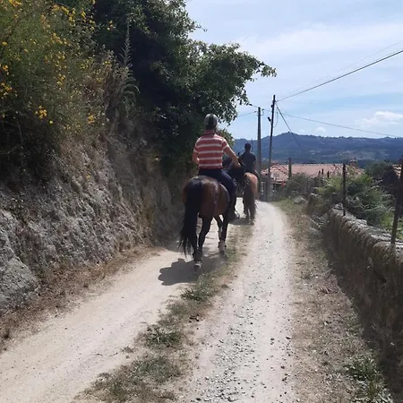 Pensión As Casinhas Dos Meus Avós By Quinta Do Paço Amarante