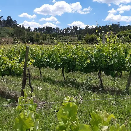 As Casinhas Dos Meus Avos By Quinta Do Paco 4*