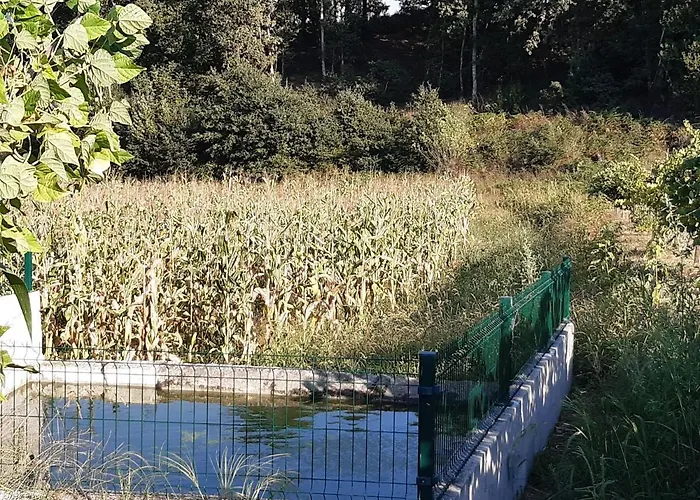 As Casinhas Dos Meus Avos By Quinta Do Paco 4*