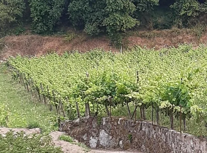 As Casinhas Dos Meus Avos By Quinta Do Paco Affittacamere 4*