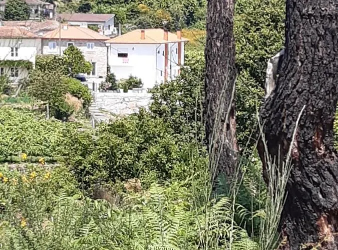 As Casinhas Dos Meus Avos By Quinta Do Paco Affittacamere 4*
