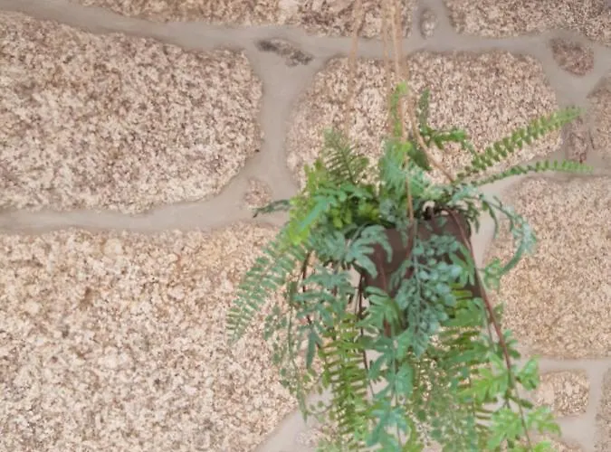 Affittacamere As Casinhas Dos Meus Avos By Quinta Do Paco Amarante