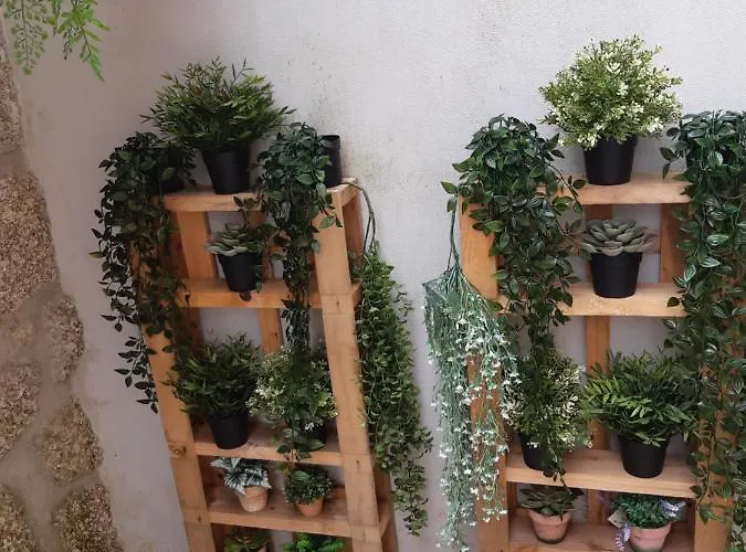 As Casinhas Dos Meus Avos By Quinta Do Paco