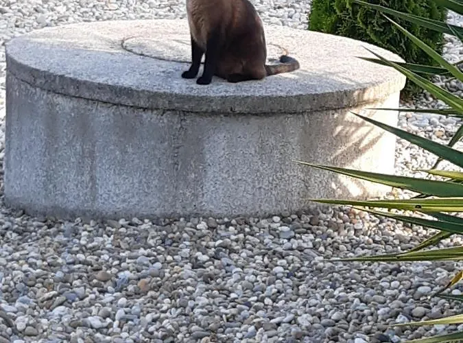 As Casinhas Dos Meus Avos By Quinta Do Paco Affittacamere Amarante