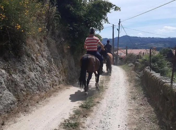 Affittacamere As Casinhas Dos Meus Avos By Quinta Do Paco Amarante