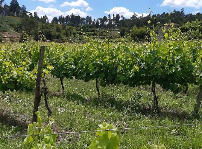 As Casinhas Dos Meus Avos By Quinta Do Paco 4*