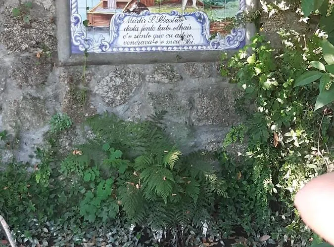 As Casinhas Dos Meus Avos By Quinta Do Paco